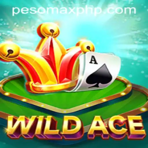 PESOMAX Casino App